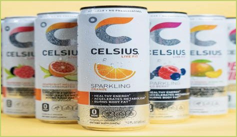 Celsius Drink Net Worth 2024